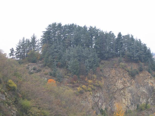 Photo 097.jpg